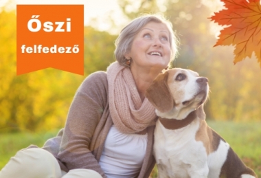 Online ajánlat reggelivel 