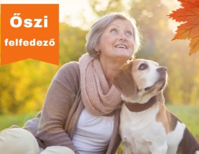Online ajánlat reggelivel